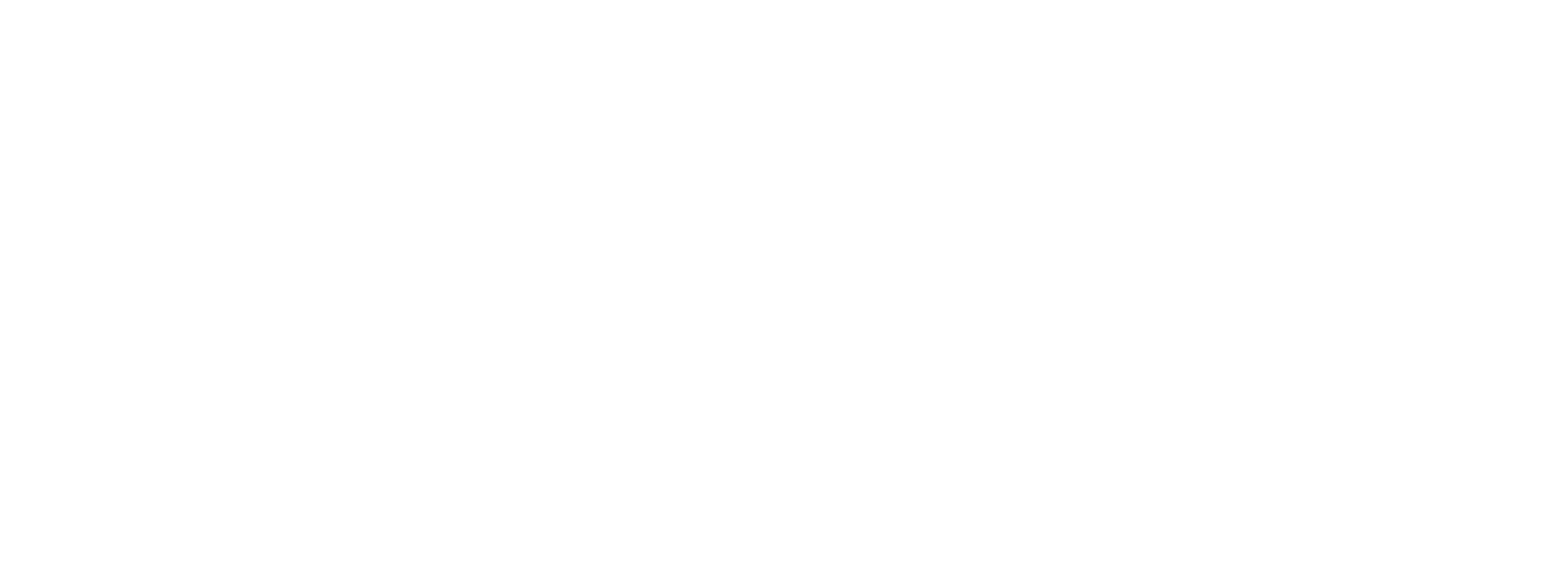 Triad Real Estate Media